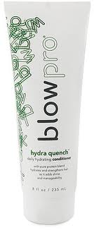 Blowpro Hydra Quench Daily Hydrating Conditioner 8 oz UltraBeauty.shop
