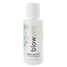 Blowpro Hydra Quench Daily Hydrating Shampoo 1.7 oz UltraBeauty.shop
