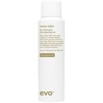 Evo Normal Persons Daily Conditioner 10.1 oz * UltraBeauty.shop