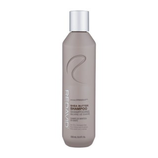 Redavid Shea Butter Shampoo, 8.4 Oz