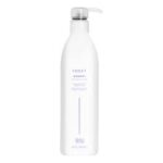 Aloxxi Volumizing Conditioner Liter UltraBeauty.shop