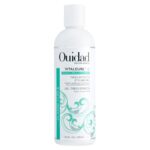 Lanza Keratin Healing Oil Brush Thru Hairspray 350 ml UltraBeauty.shop