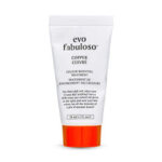 Evo Fabuloso Colour Intensifying Conditioner 1.1 Oz. – Purple Red Travel! UltraBeauty.shop