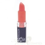 Kleancolor Madly Matte Lipstick Brick Rose UltraBeauty.shop