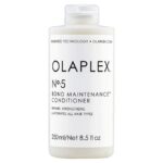 Olaplex Nº.4 BOND MAINTENANCE SHAMPOO 8.5 Oz. UltraBeauty.shop